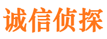 金川侦探社